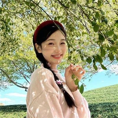 狗狗间谍